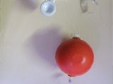 float switch