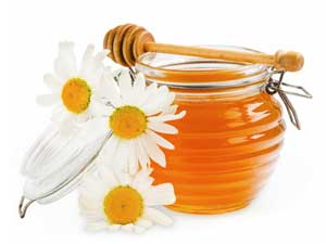 Honey Container Honey Container