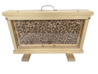 Observation Hive - 1 Frame