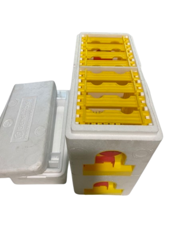 Queen Mating Box - Double